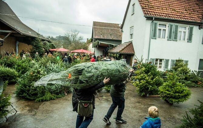 Weihnachtsmarkt auf dem Hegnauhof - Bild 25_24