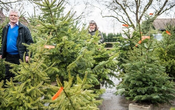 Weihnachtsmarkt auf dem Hegnauhof - Bild 26_25