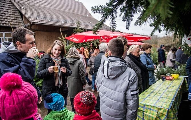 Weihnachtsmarkt auf dem Hegnauhof - Bild 28_27