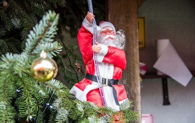 Weihnachtsmarkt auf dem Hegnauhof - Bild 32_31