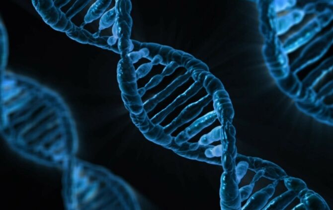 dna-163466_1280_0