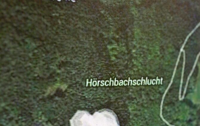 Szenario Waldbrand - Bild 21_33