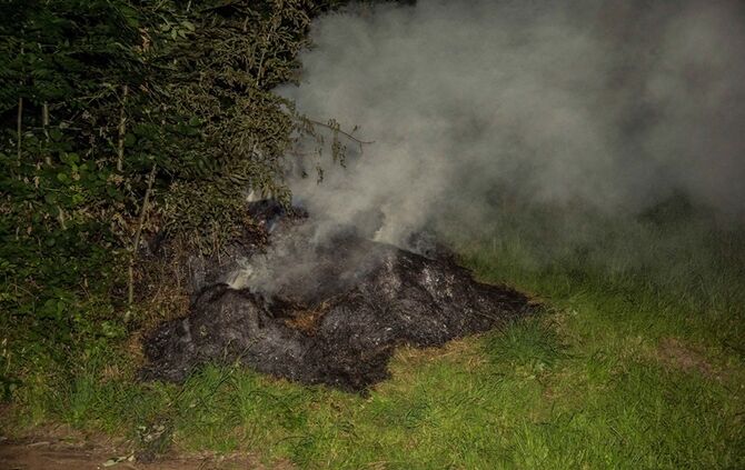 Strohbrand am Waldrand sorgt fuer starke Rauchentwicklung - Bild 02_1