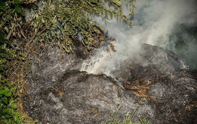 Strohbrand am Waldrand sorgt fuer starke Rauchentwicklung - Bild 04_3
