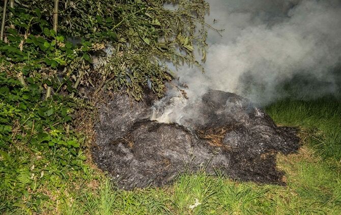 Strohbrand am Waldrand sorgt fuer starke Rauchentwicklung - Bild 06_5