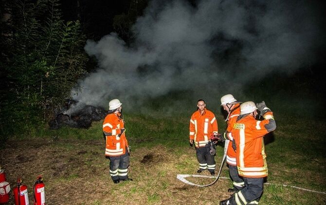 Strohbrand am Waldrand sorgt fuer starke Rauchentwicklung - Bild 10_8