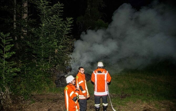 Strohbrand am Waldrand sorgt fuer starke Rauchentwicklung - Bild 11_9