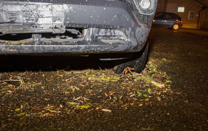 Baum stürzt in Schwaikheim auf Straße_1