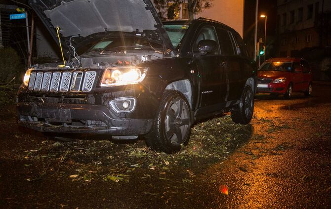 Baum stürzt in Schwaikheim auf Straße_2