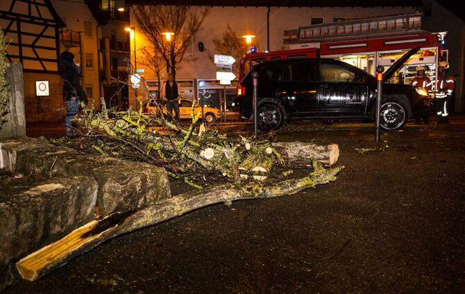 Baum stürzt in Schwaikheim auf Straße_4