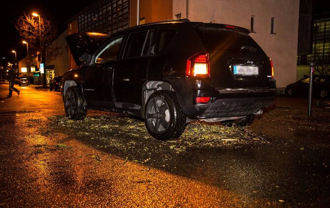 Baum stürzt in Schwaikheim auf Straße_6