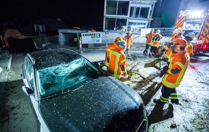 Baum beschädigt PKW in Winnenden_9