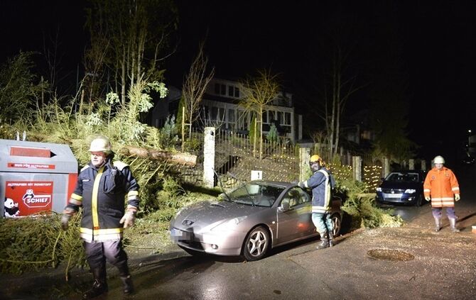 Weinstadt-Baach: Grosser Baum faellt auf geparktes Auto - Pkw Totalschaden