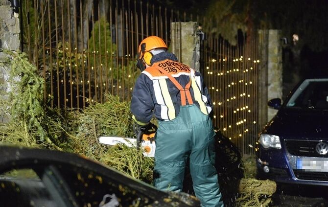 Weinstadt-Baach: Grosser Baum faellt auf geparktes Auto - Pkw Totalschaden