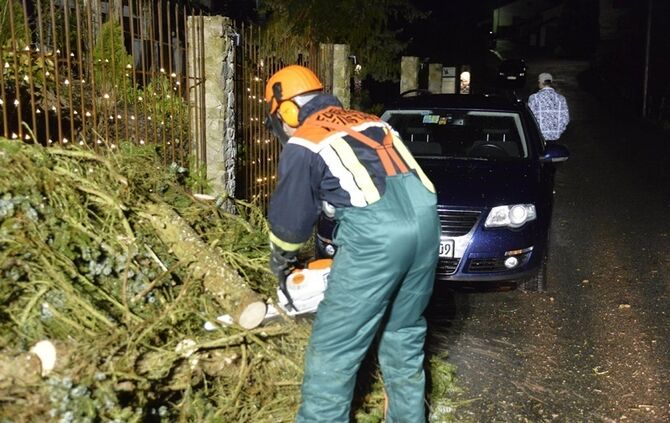 Weinstadt-Baach: Grosser Baum faellt auf geparktes Auto - Pkw Totalschaden