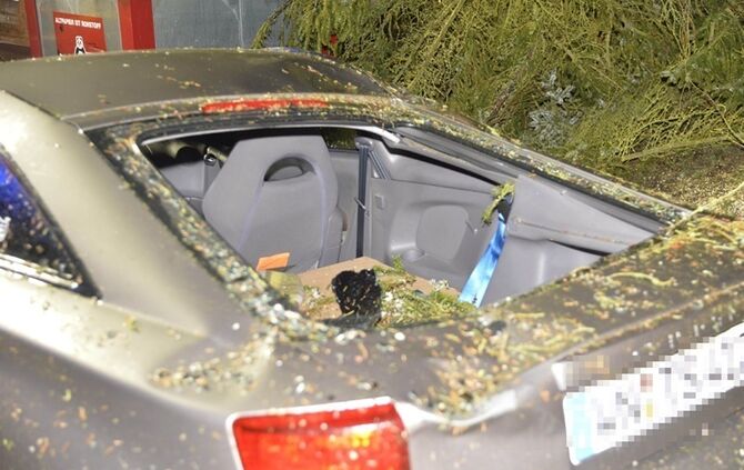 Weinstadt-Baach: Grosser Baum faellt auf geparktes Auto - Pkw Totalschaden