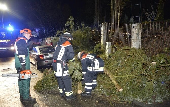 Weinstadt-Baach: Grosser Baum faellt auf geparktes Auto - Pkw Totalschaden
