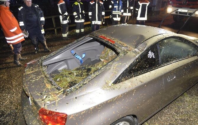 Weinstadt-Baach: Grosser Baum faellt auf geparktes Auto - Pkw Totalschaden