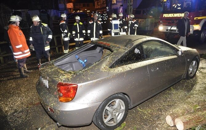 Weinstadt-Baach: Grosser Baum faellt auf geparktes Auto - Pkw Totalschaden
