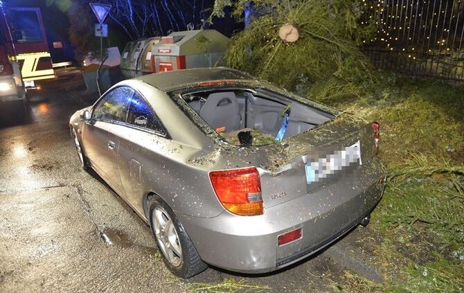 Weinstadt-Baach: Grosser Baum faellt auf geparktes Auto - Pkw Totalschaden