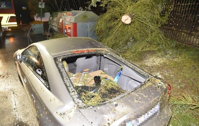 Weinstadt-Baach: Grosser Baum faellt auf geparktes Auto - Pkw Totalschaden