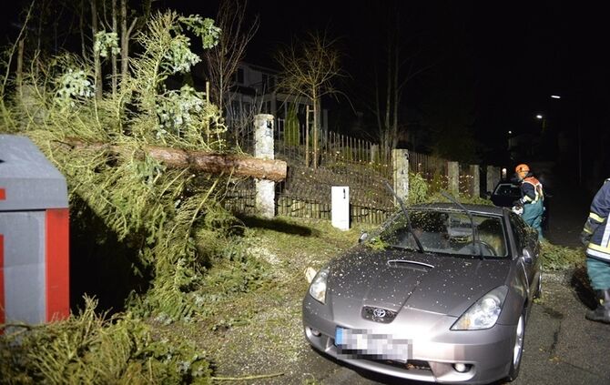 Weinstadt-Baach: Grosser Baum faellt auf geparktes Auto - Pkw Totalschaden