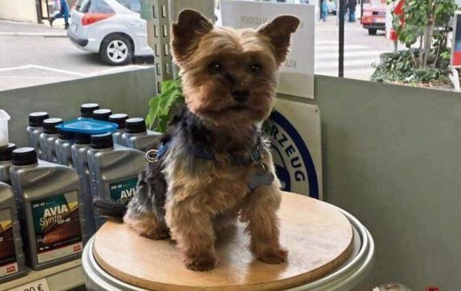 45096a97-11d4-4475-97b8-794b4ff4af54.jpg_1