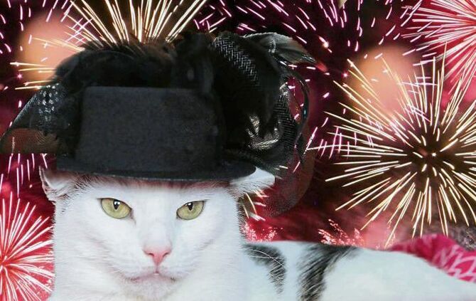 ff1d7d1c-b4d8-446a-8236-505429c37773.jpg_0