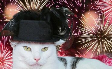 ff1d7d1c-b4d8-446a-8236-505429c37773.jpg_0