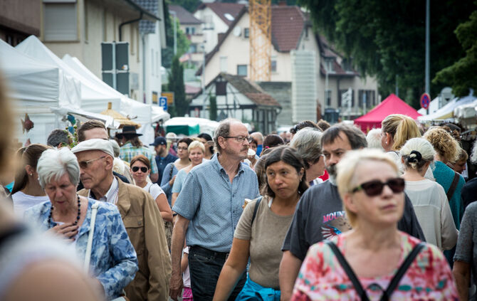 Rosenmarkt verlegt - Bild 50_1