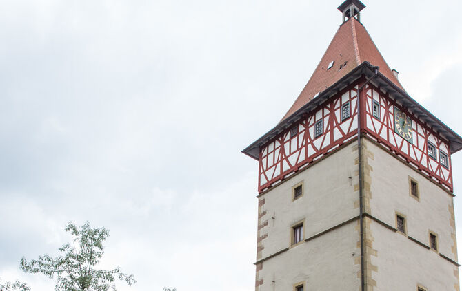 Rosenmarkt verlegt - Bild 10_2