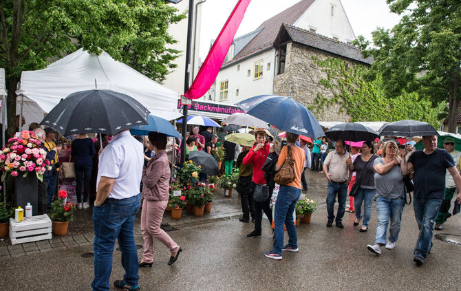Rosenmarkt verlegt - Bild 70_3
