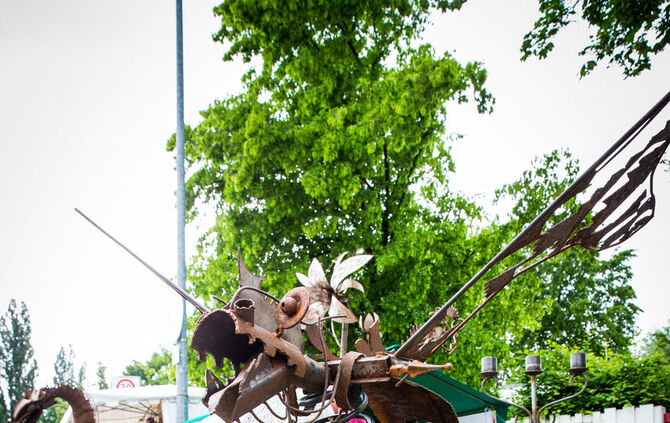 Rosenmarkt verlegt - Bild 65_4