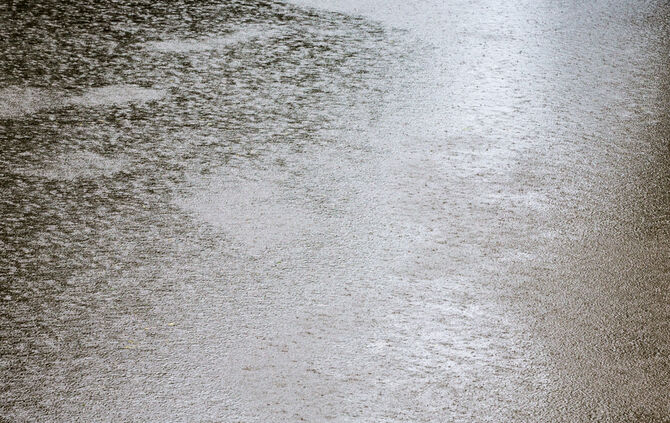 Rosenmarkt verlegt - Bild 71_15