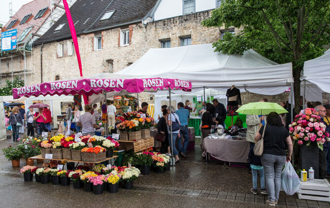 Rosenmarkt verlegt - Bild 69_16