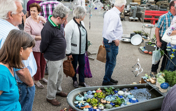 Rosenmarkt verlegt - Bild 41_38