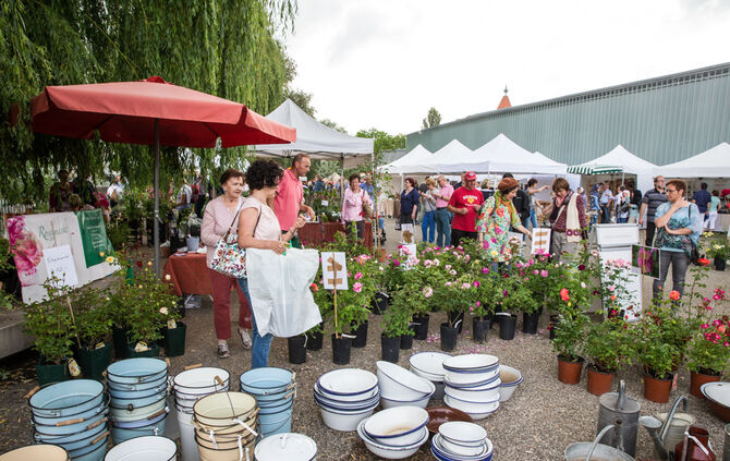 Rosenmarkt verlegt - Bild 38_40