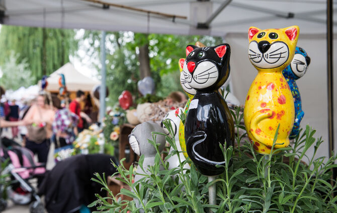 Rosenmarkt verlegt - Bild 24_51