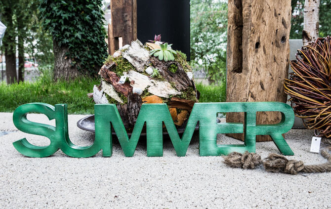 Rosenmarkt verlegt - Bild 22_53