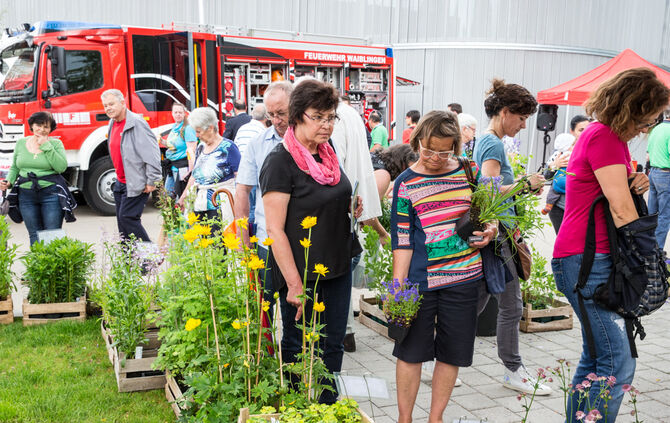 Rosenmarkt verlegt - Bild 18_56