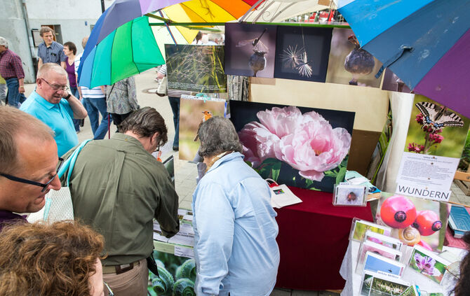 Rosenmarkt verlegt - Bild 17_57