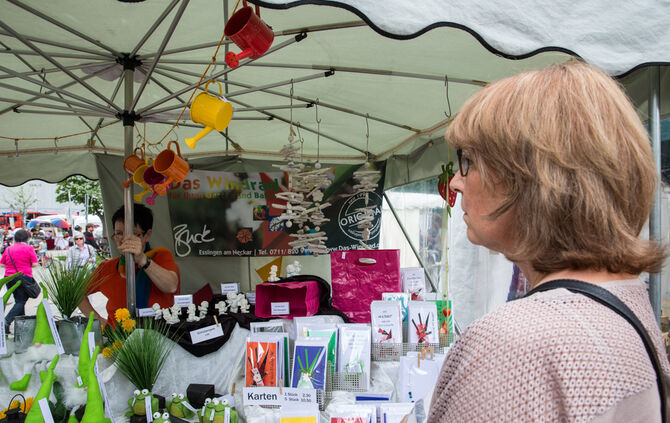 Rosenmarkt verlegt - Bild 08_64