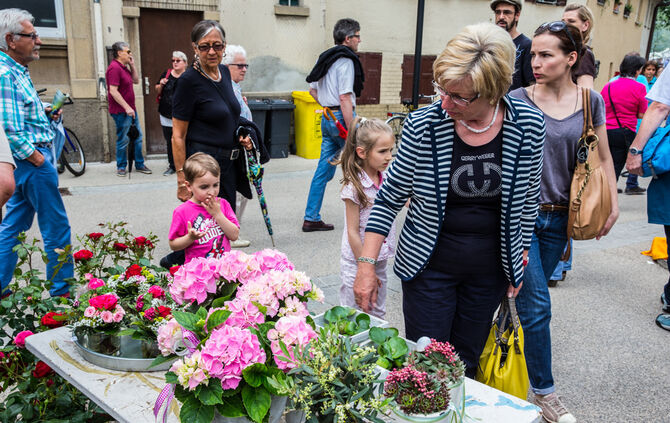 Rosenmarkt verlegt - Bild 07_65