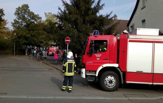 WhatsApp_Image_2016-09-23_at_09.45.37_4