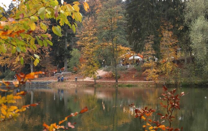 Herbst Ebnisee Symbolfoto