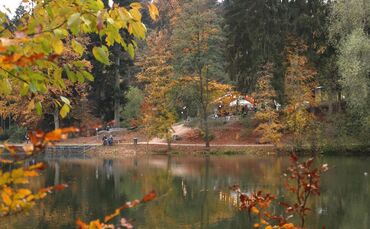 Herbst Ebnisee Symbolfoto