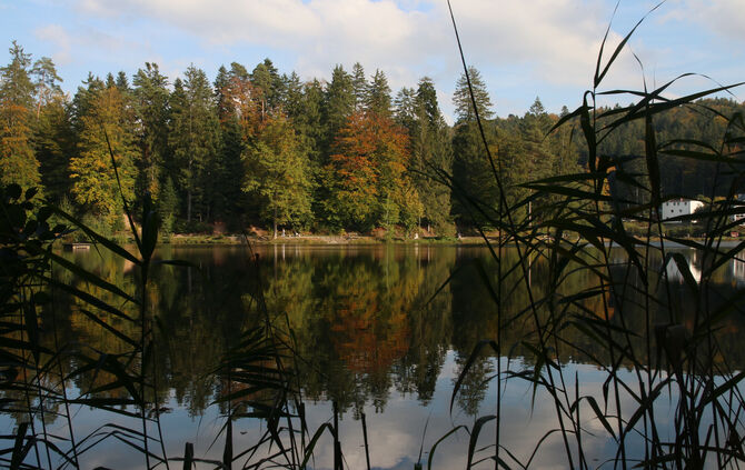 Ebnisee Kaisersbach Symbol Symbolfoto