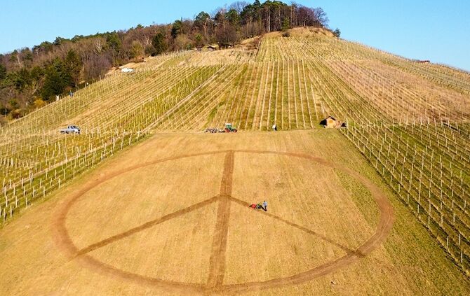 Peace-Zeichen vom Weingut Schwegler