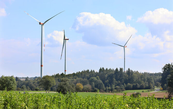 Klimaschutzwahl