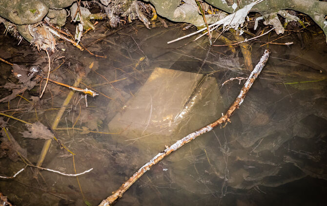 Tresorfund im Zipfelbach, hinter dem Vereinsheim Zipfelbachstube, Winnenden, 12.03.2022.